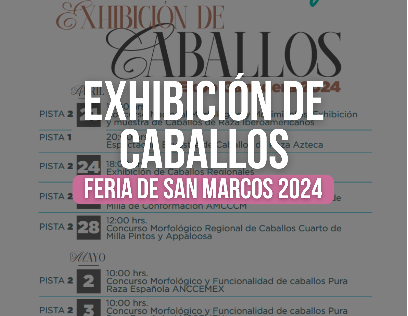Exhibición de Caballos Feria de San Marcos 2024